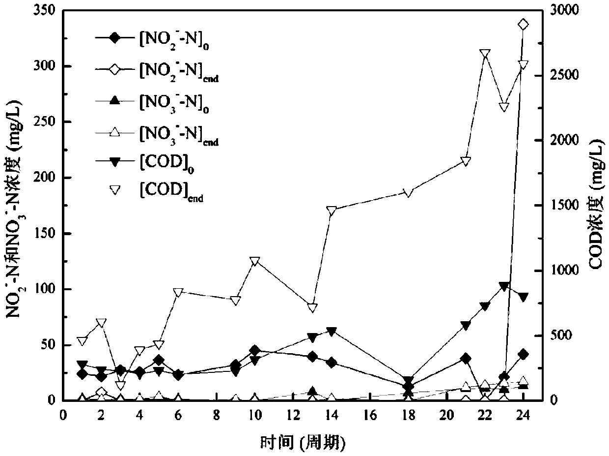 Method of enriching short-cut denitrifying bacteria by substrate feeding and intermittent operation