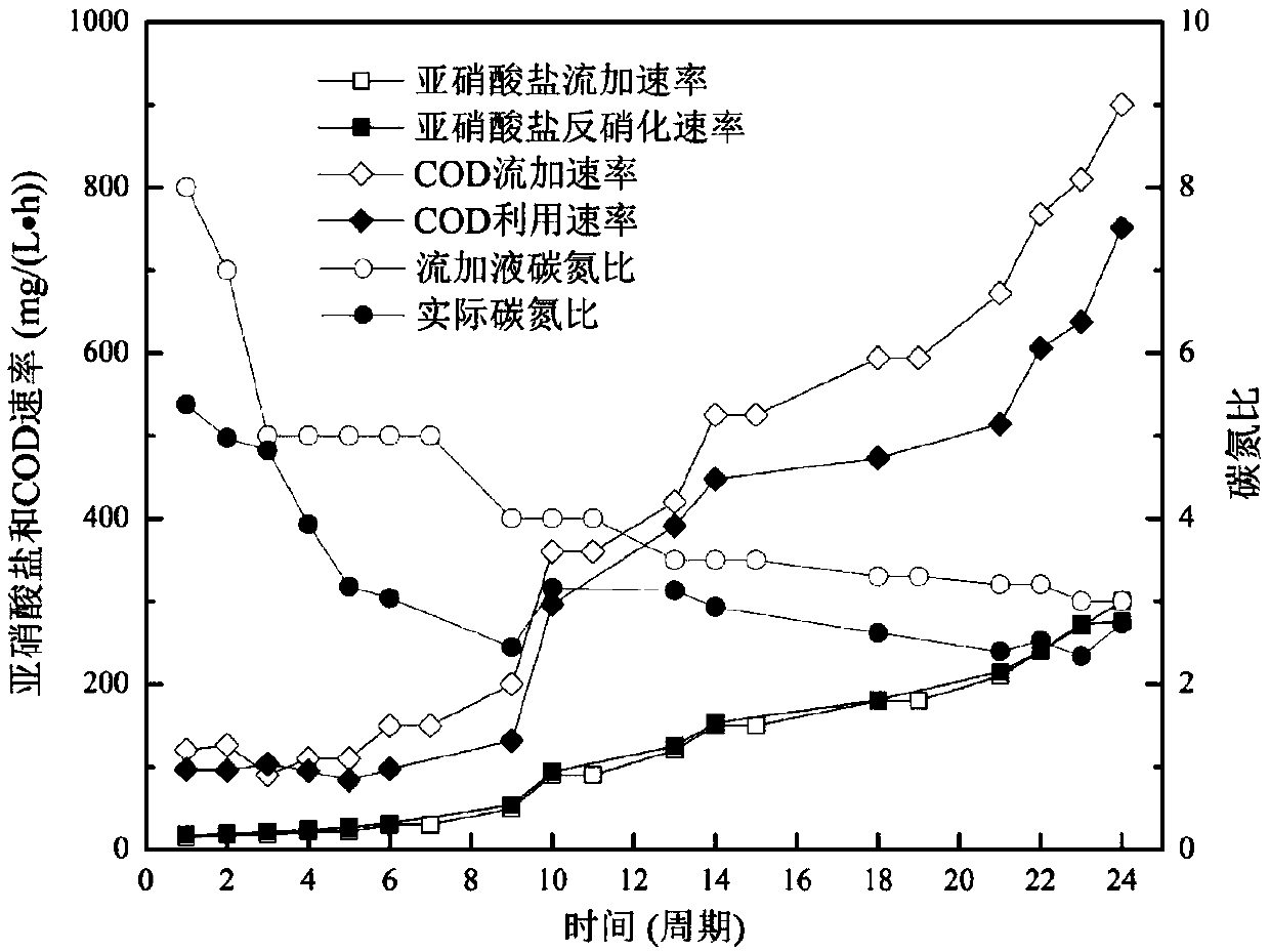 Method of enriching short-cut denitrifying bacteria by substrate feeding and intermittent operation