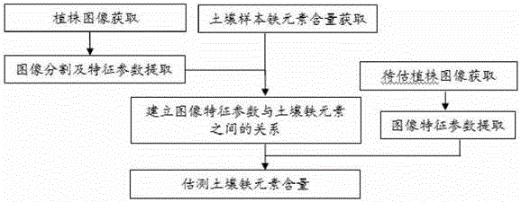 Image determination method and system for determining iron element content in sandalwood plant growth soil