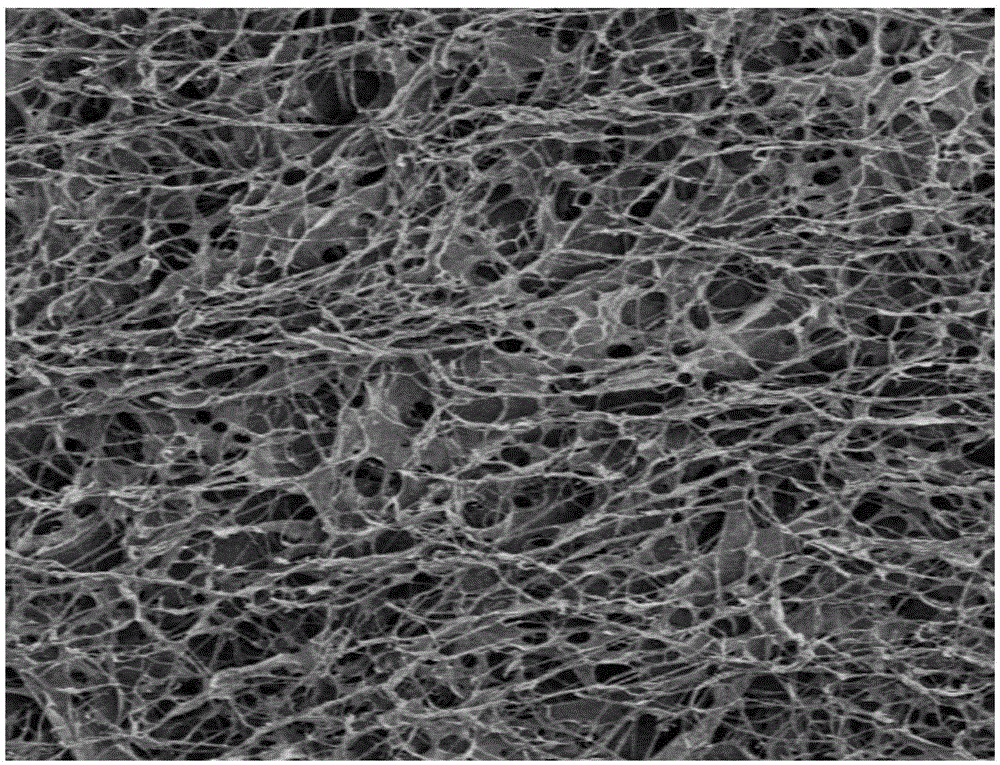 Degradable meninx repairing material and preparing method thereof