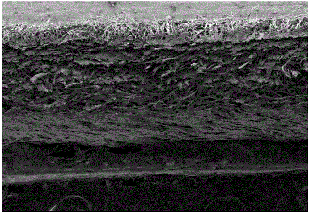 Degradable meninx repairing material and preparing method thereof