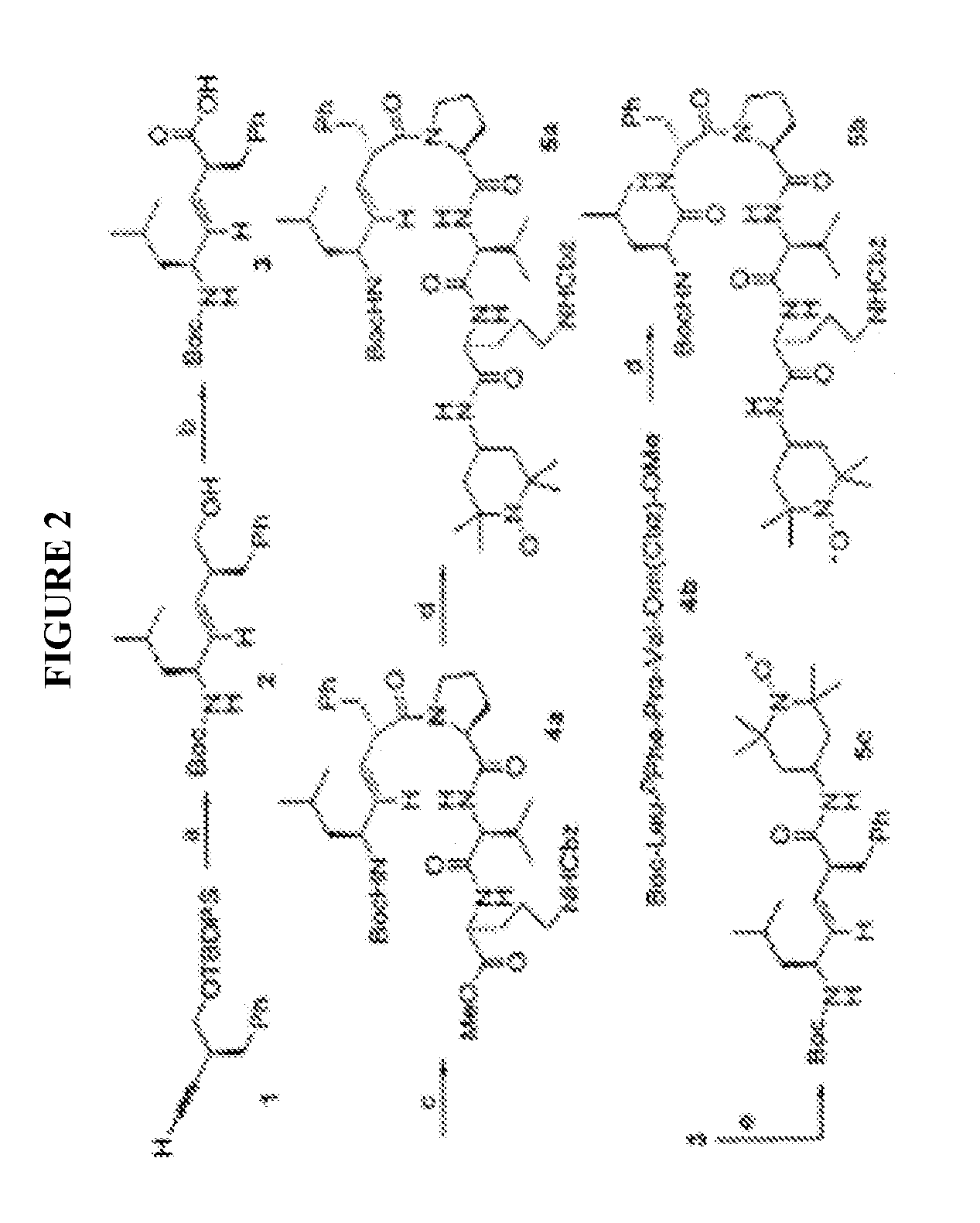 Selective targeting agents for mitochondria