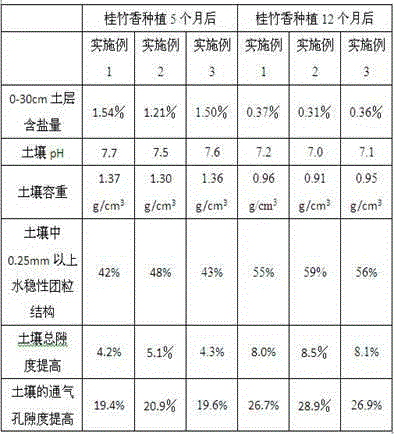 Coastal clay saline-alkali land soil structure conditioner and application thereof in cheiranthus cheiri planting