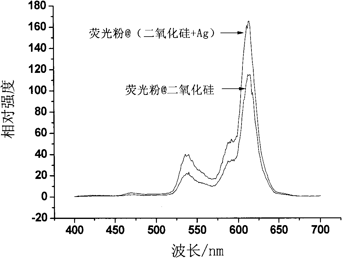 Fluorescent material and preparation method thereof