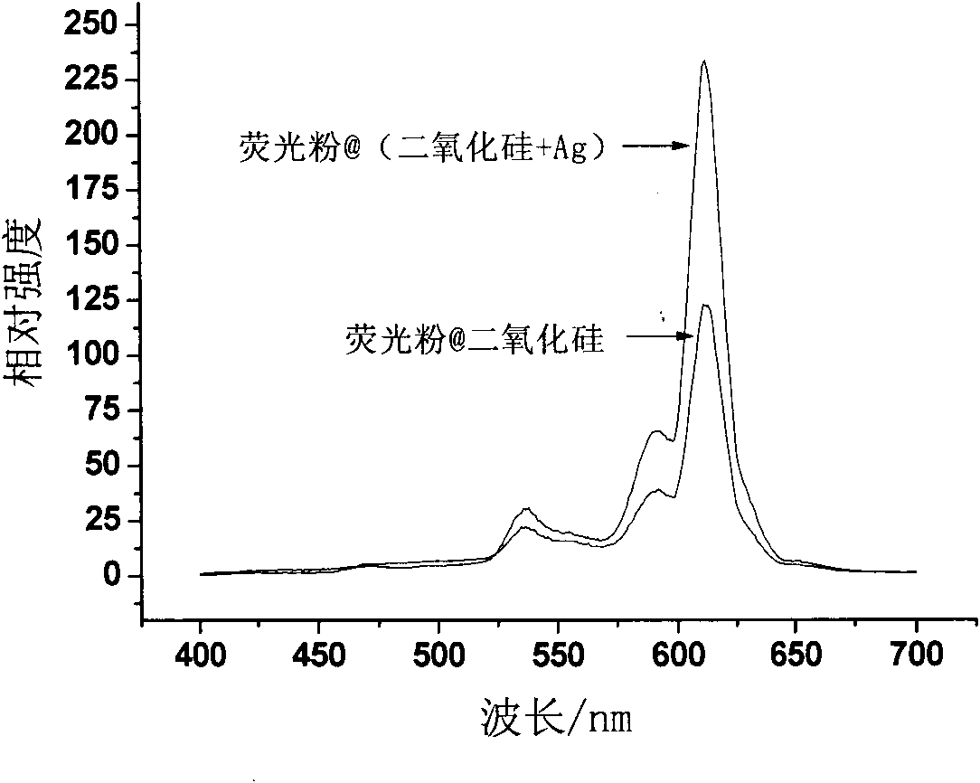 Fluorescent material and preparation method thereof