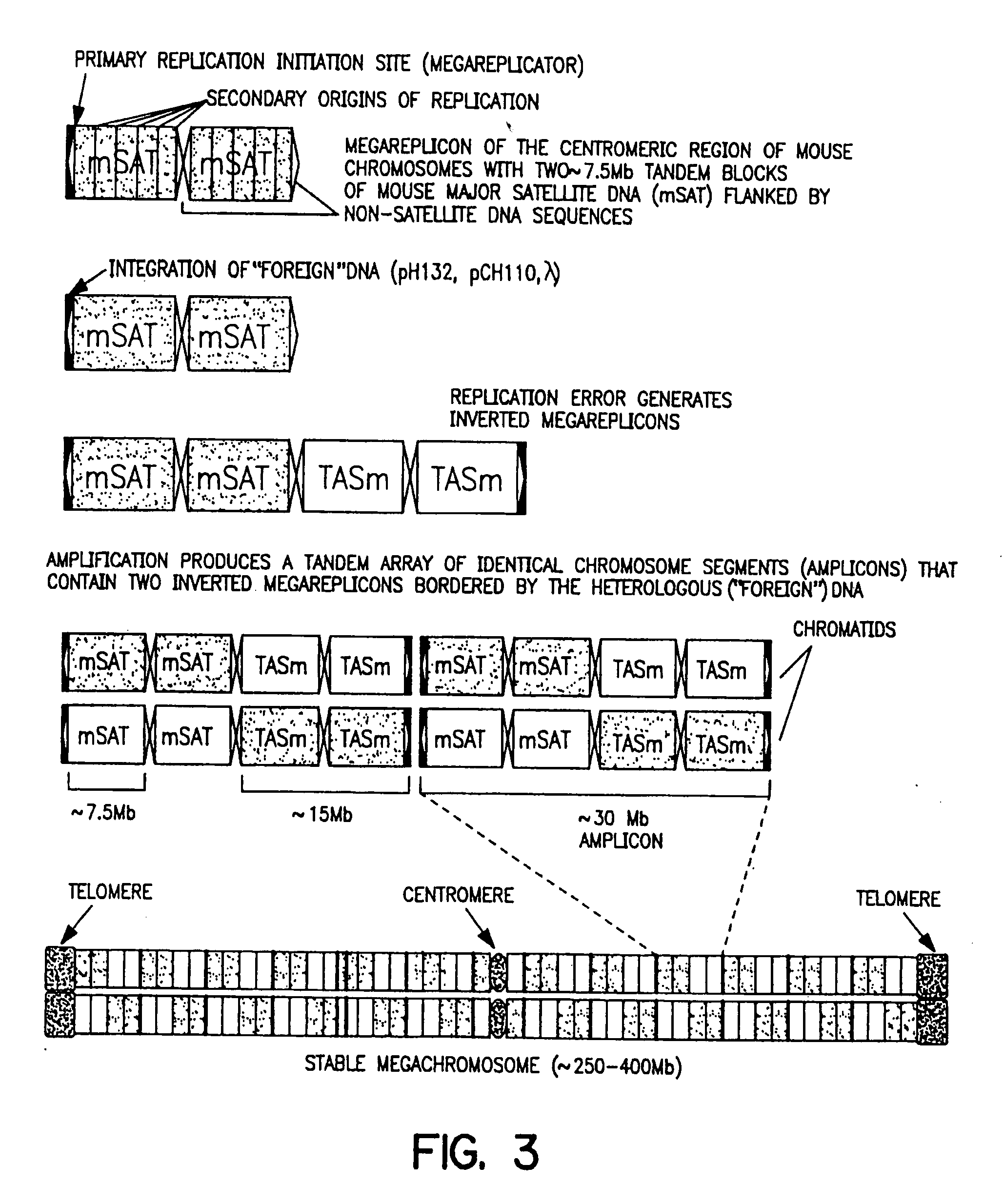 Artificial chromosomes, uses thereof and methods for preparing artificial chromosomes