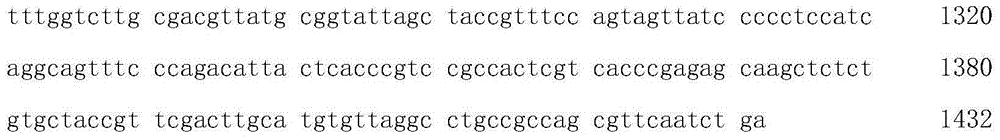 Enterobacter cloacae, microbial inoculum containing enterobacter cloacae, use of microbial inoculum and method for passivation of mercury