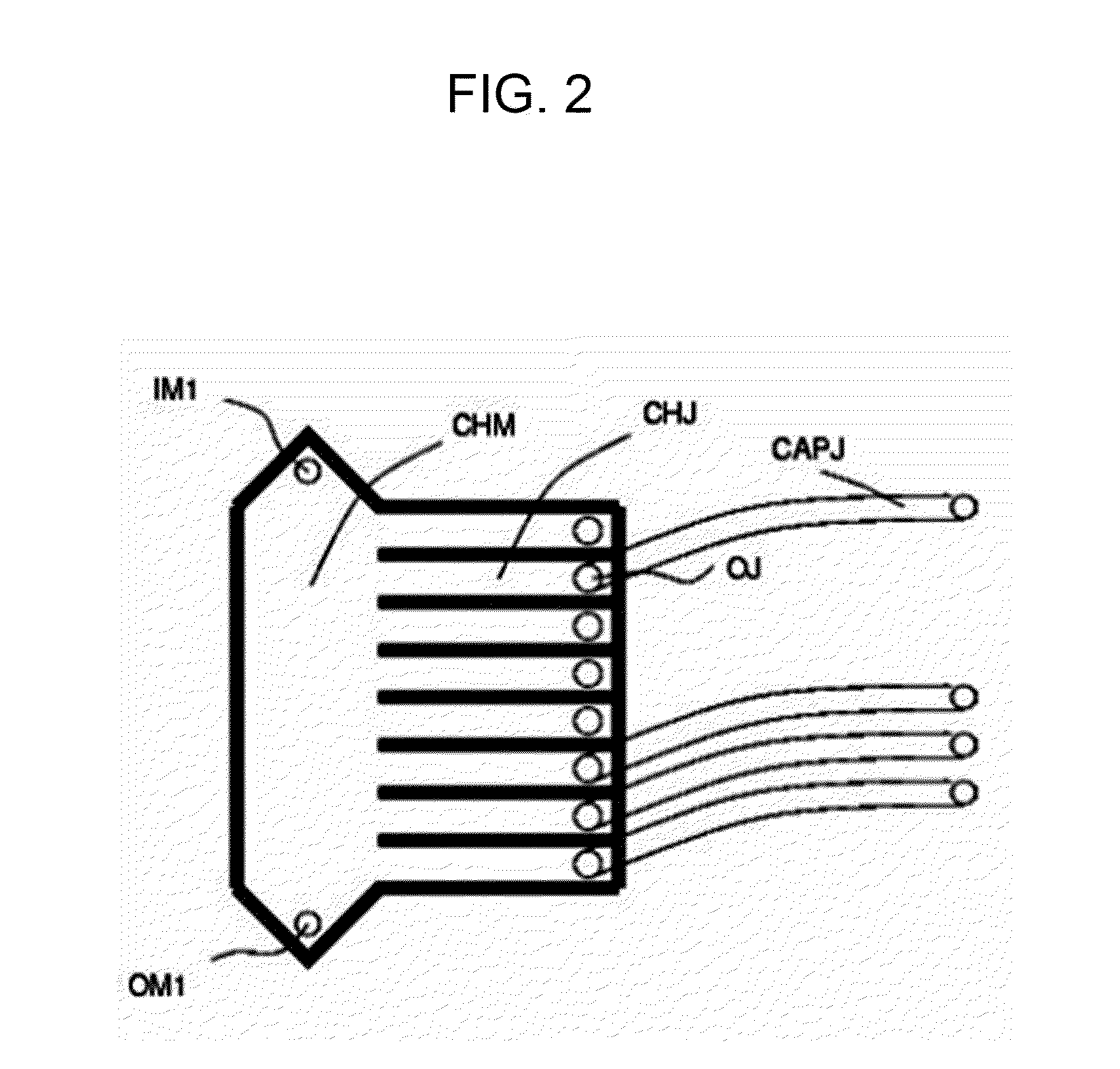 Method for Identification, Selection and Analysis of Tumour Cells