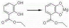 Magnesium salt of hydroxybenzoate with anesthetic effect and preparation method thereof