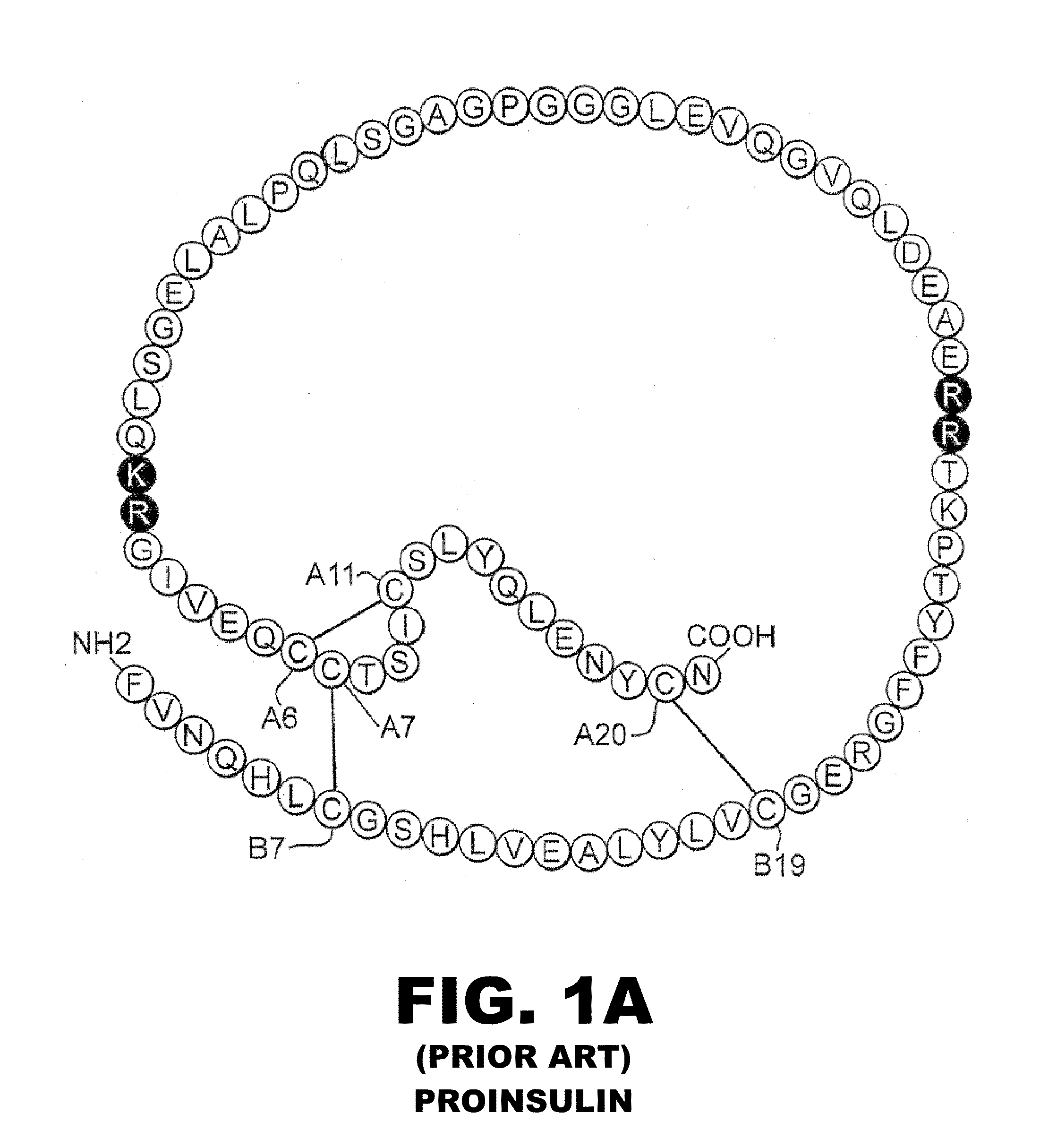 Non-standard insulin analogues