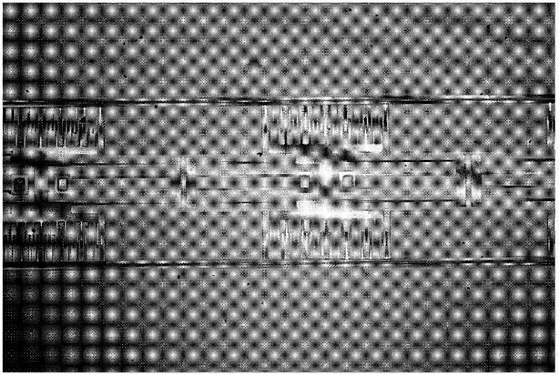 Device for detecting in-plane error in micro/nano device out-of-plane motion test and compensating method