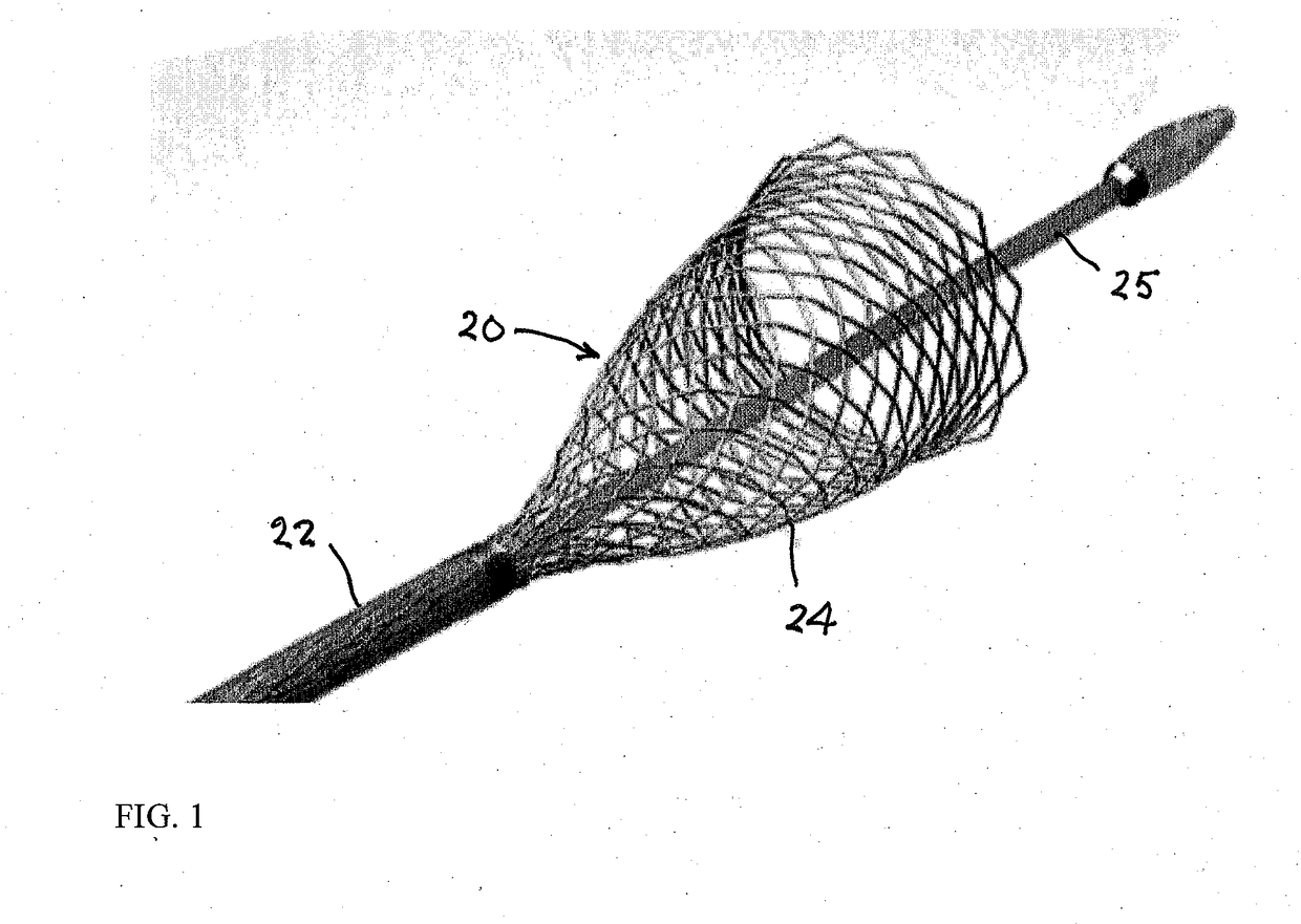 Endovascular occlusive device and associated surgical methodology