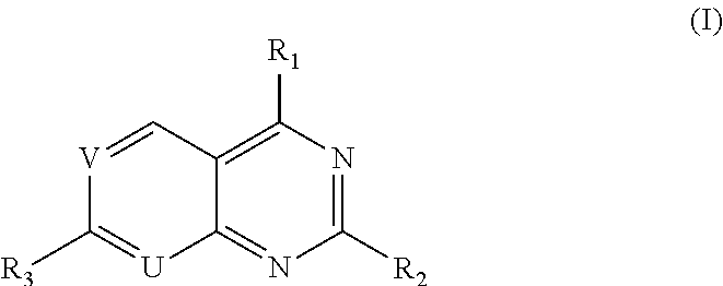 Pyridopyrimidine Or Pyrimidopyrimidine Compound, Prepration Method, Pharmaceutical Composition, And Use Thereof