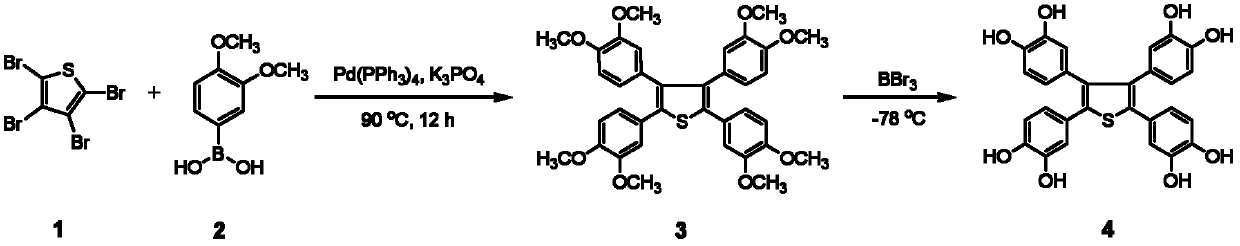 2,3,4,5,-tetra(3',4'-dihydroxyl phenyl)thiophene and application thereof as MALDI (matrix assisted laser desorption ionization) matrix in analyzing small molecules