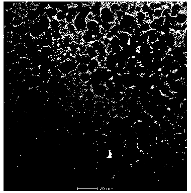 Method for continuous and rapid preparation of nano nickel by microfluidics technology