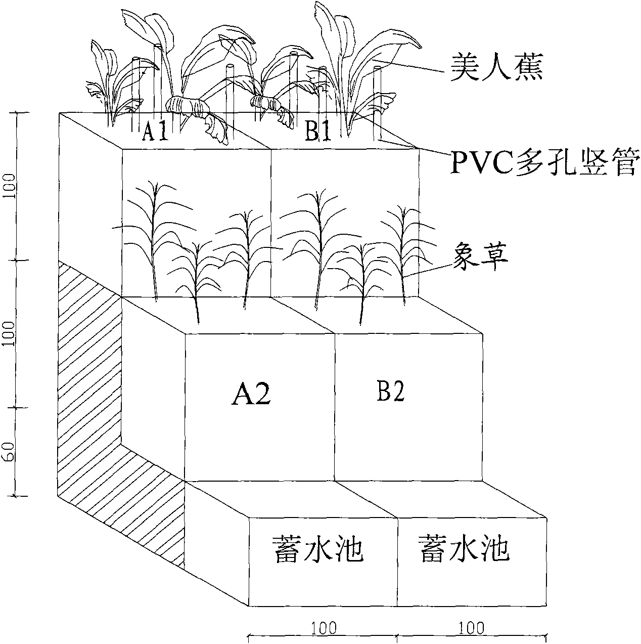 Method and system for treating sewage through composite tidal current artificial marsh