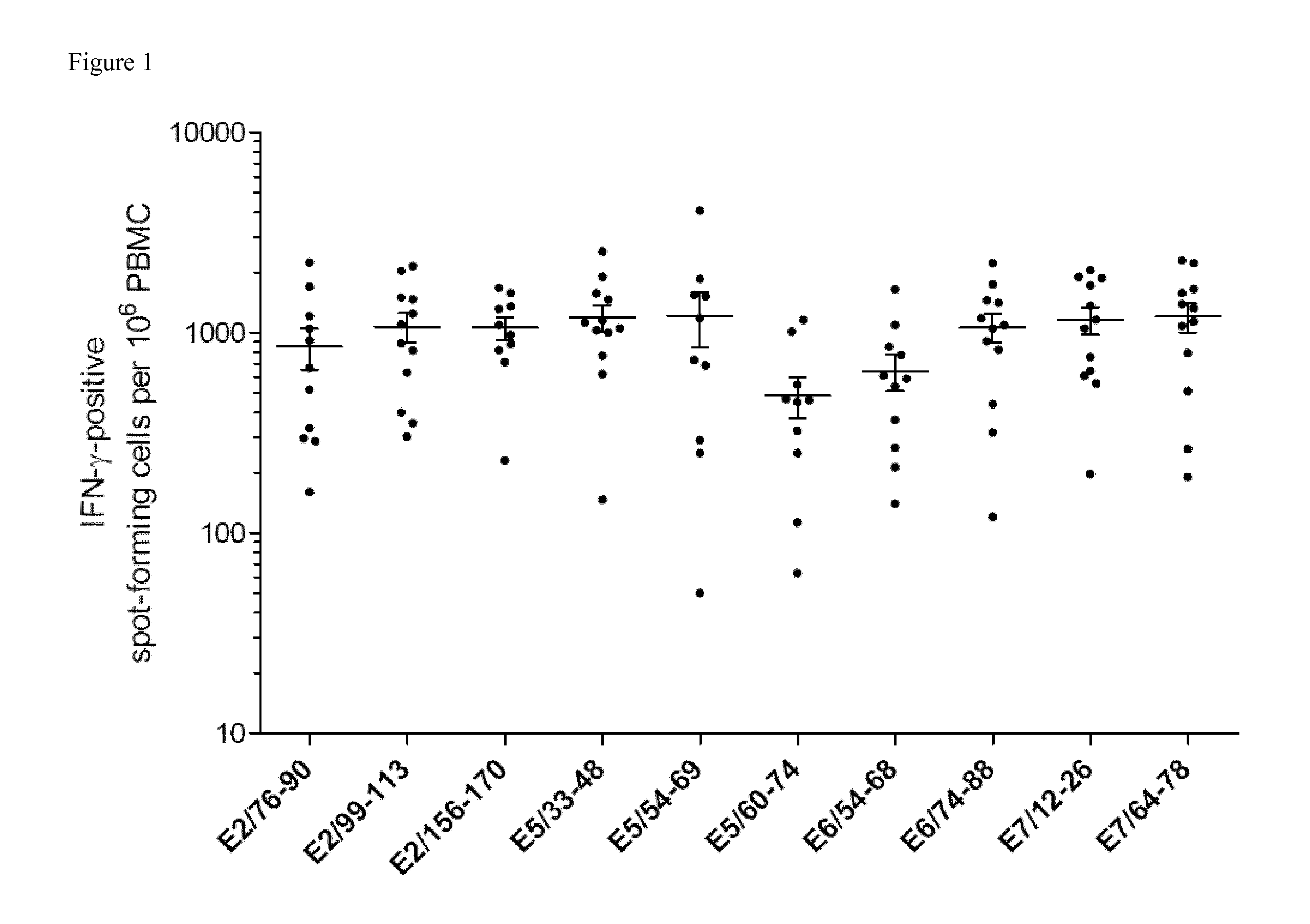 Novel Promiscuous HPV16-Derived T Helper Epitopes for Immunotherapy