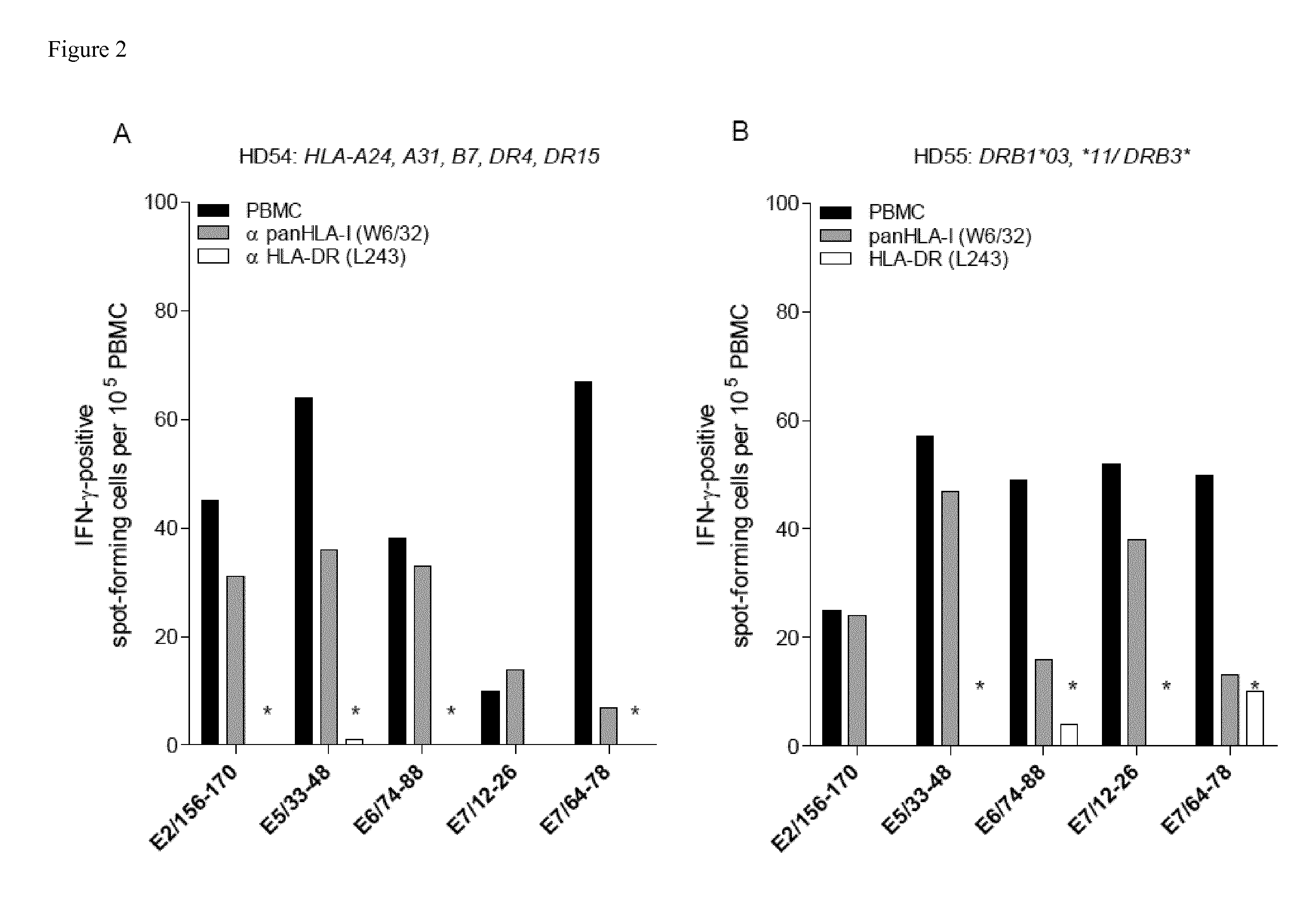 Novel Promiscuous HPV16-Derived T Helper Epitopes for Immunotherapy