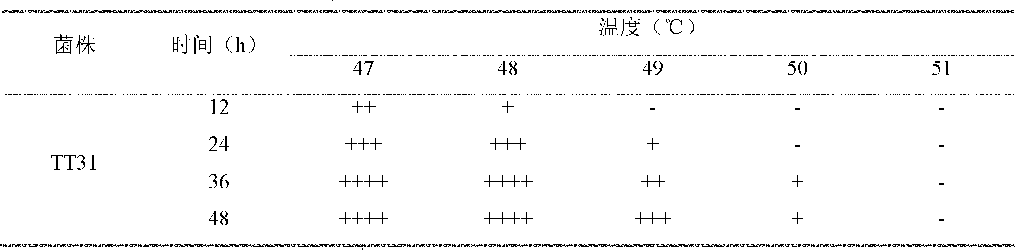 Multi-resistant high-yield alcohol yeast mutant strain TT31 and screening method thereof