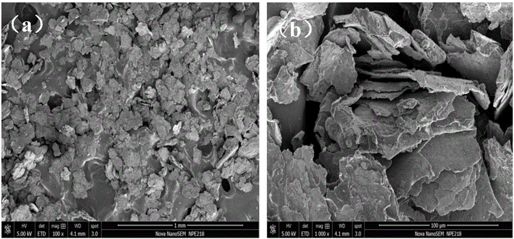 Novel antistatic white thermal control coating and preparation method thereof