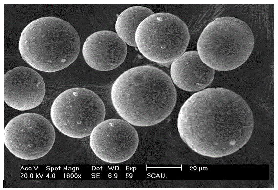 Preparation method for hemp seed oil microcapsules