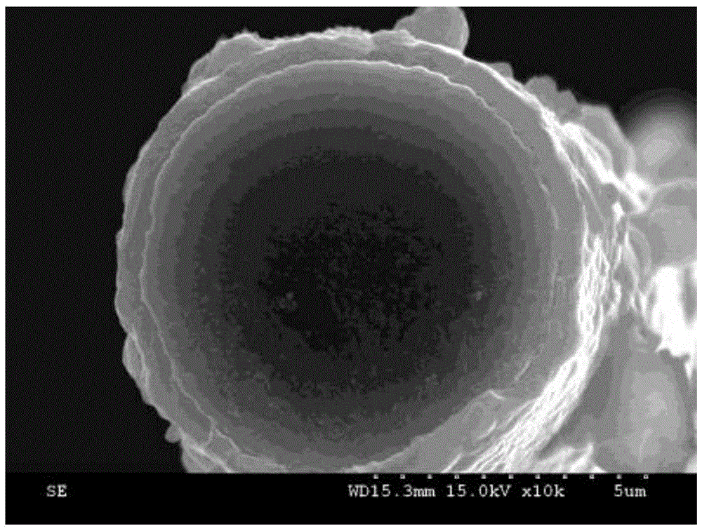 Preparation method and application of dual-purpose probe integrating solid-phase micro-extraction fibers and electrochemical detection working electrodes