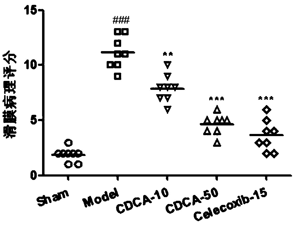 Application of cdca in preparation of medicine for treating osteoarthritis