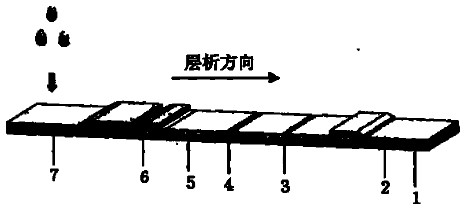 Immune colloidal gold test strip for detecting porcine epidemic diarrhea virus as well as preparation method and application thereof