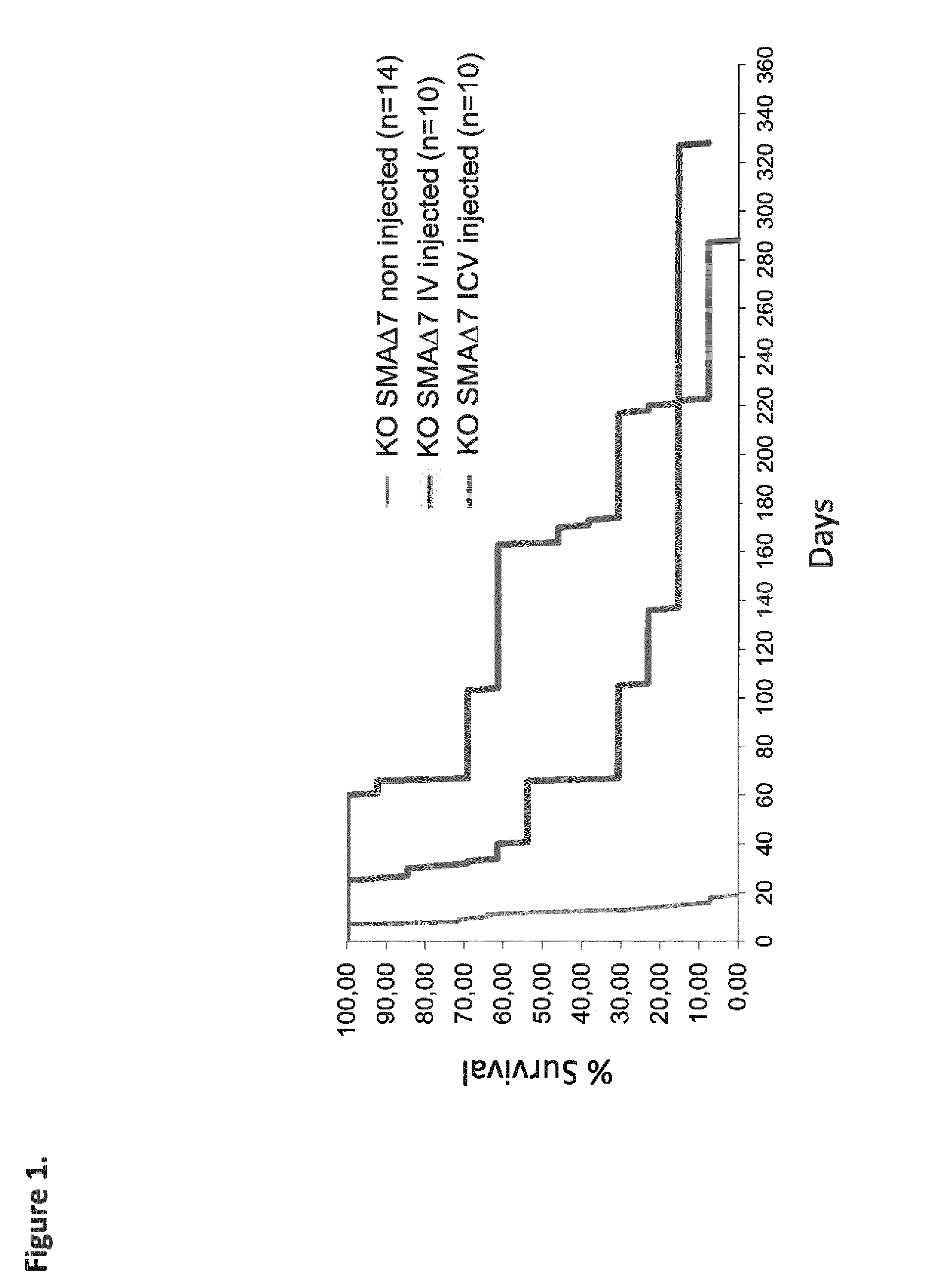 Widespread gene delivery of gene therapy vectors