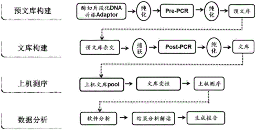 Method for enriching target regions of 168 genes based on multi-probes