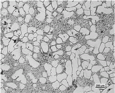 Preparation method of elemental-copper-coated crystal whisker carbon nanotube/magnesium-based composite semisolid-state blank