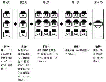 Efficient PD-1-CD8+T cell culture method