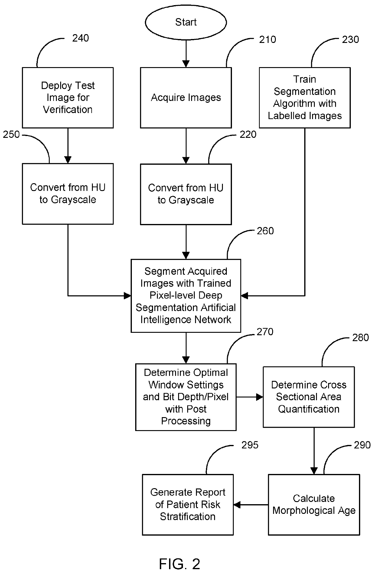 Patient risk stratification based on body composition derived from computed tomography images using machine learning