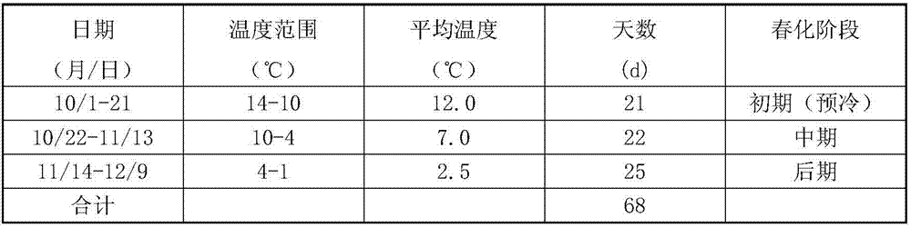 Method for low temperature vernalization of tulip bulbs