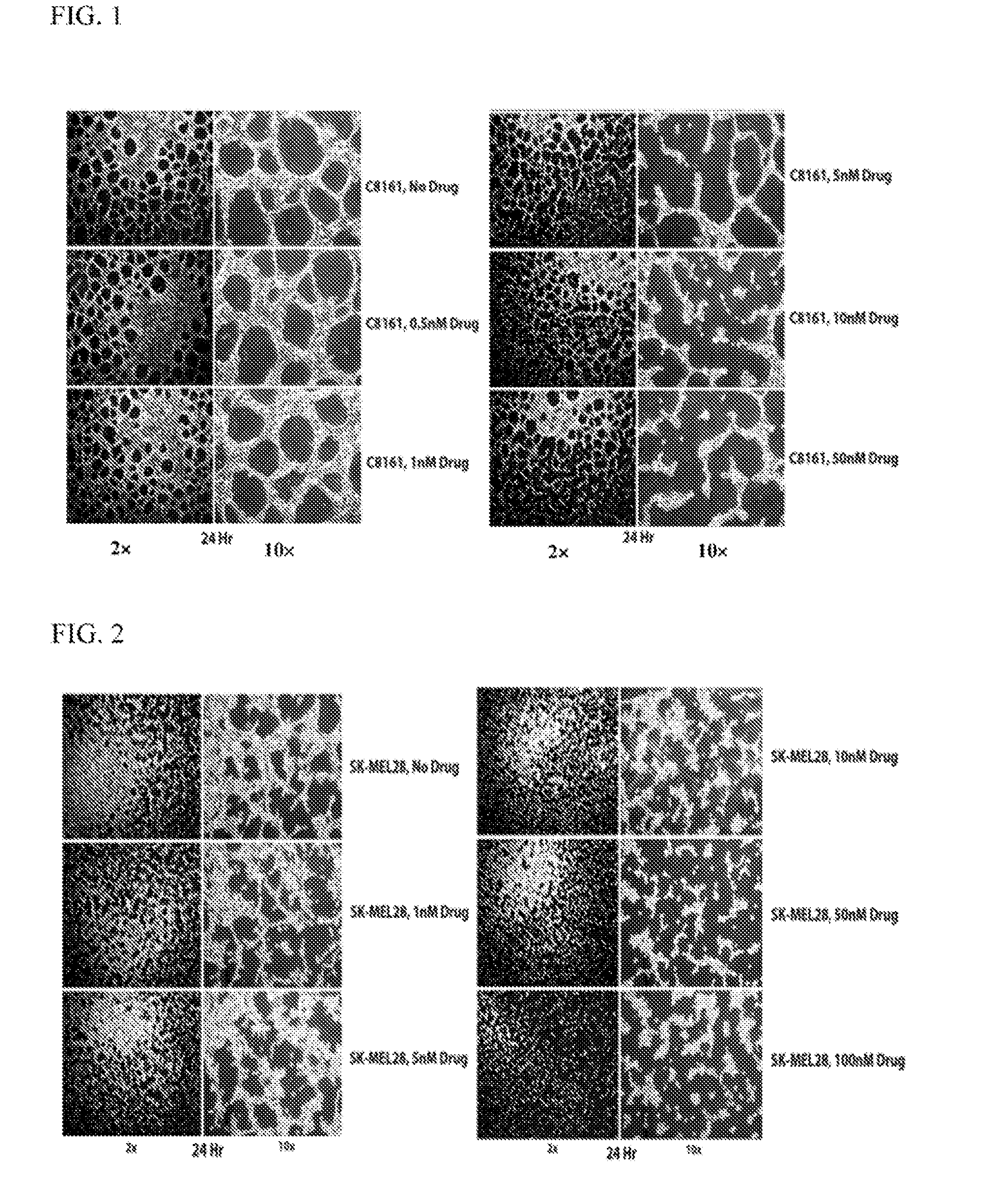 Novel use of aryl-quinolin derivatives as inhibitors of vasculogenic mimicry