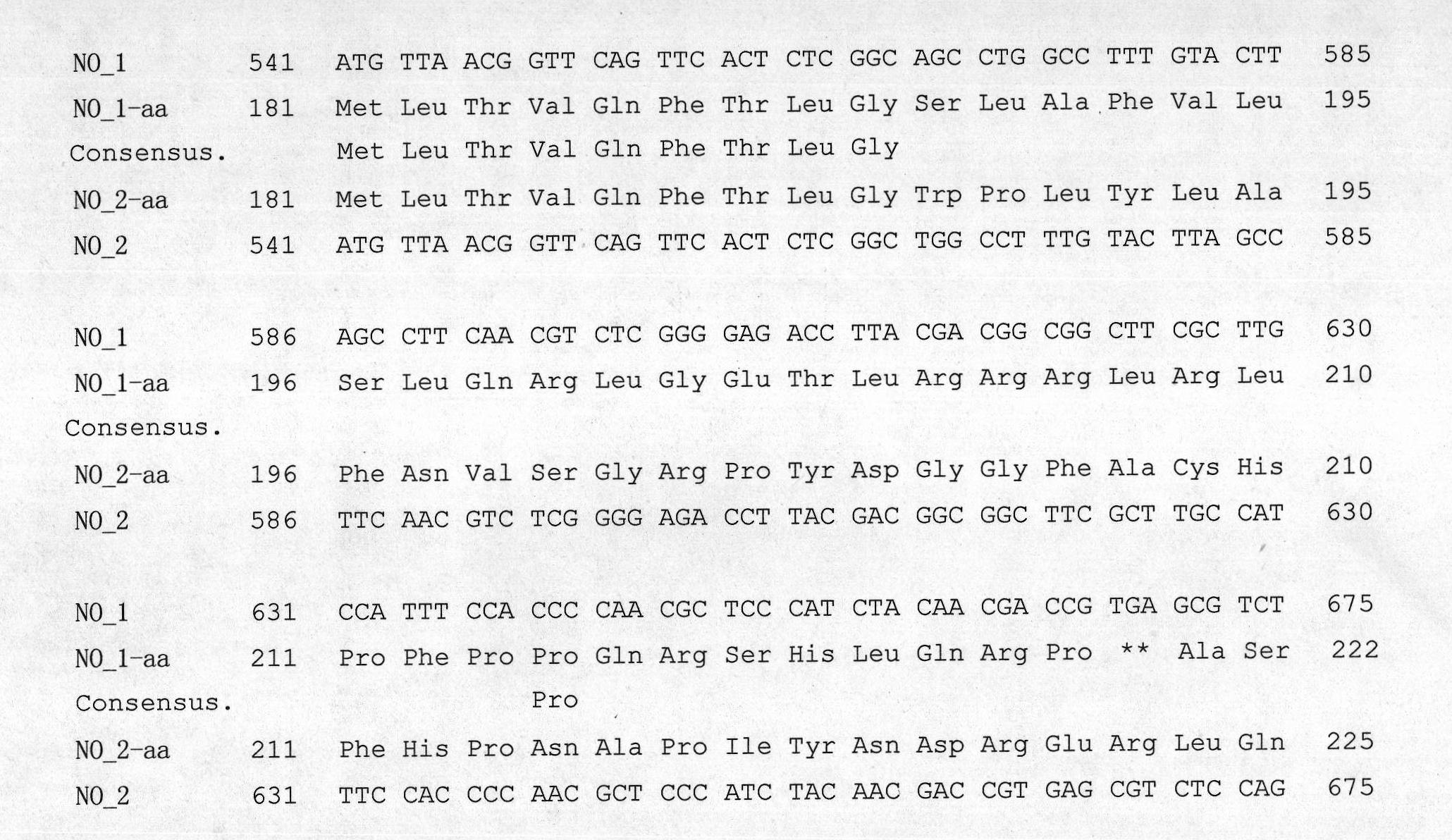 Cabbage type rape high oleic acid molecular marker, preparation method and application thereof