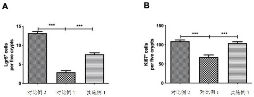 Application of fisetin and salt thereof to preparation of drugs resisting radiation damages