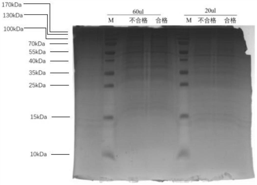 Method for improving turbidity of spectinomycin hydrochloride product