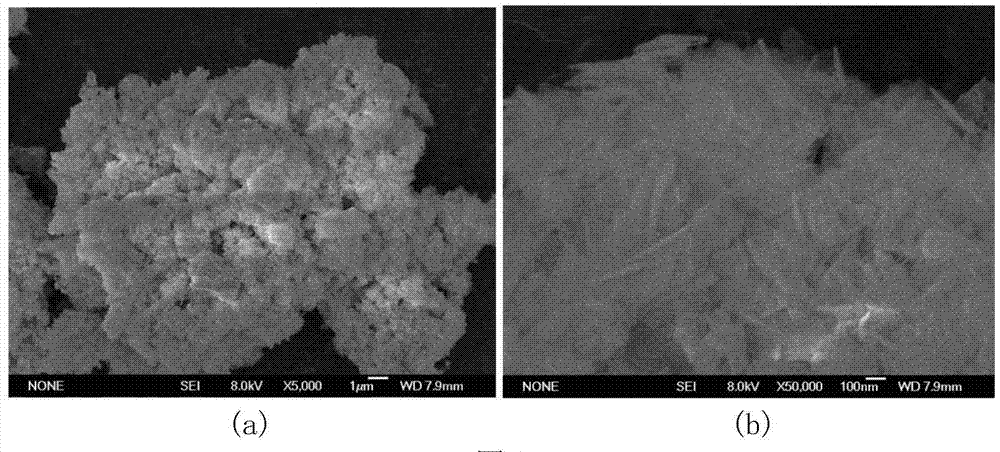 BiOCl photocatalyst with cotton-shaped structure and preparation method thereof