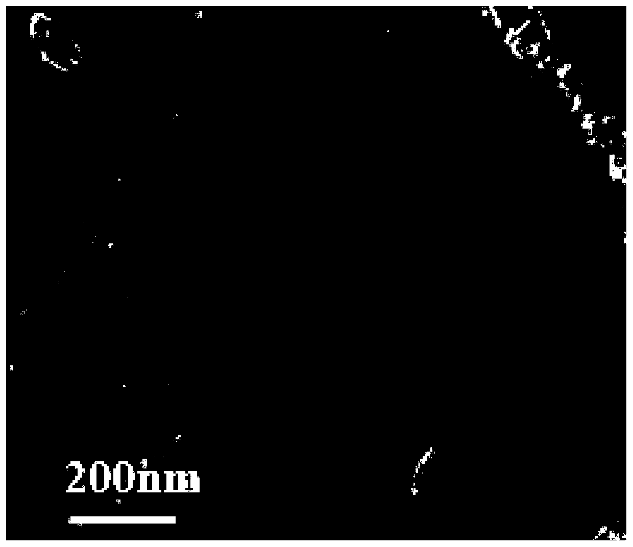 Non-noble metal catalyst and preparation method thereof