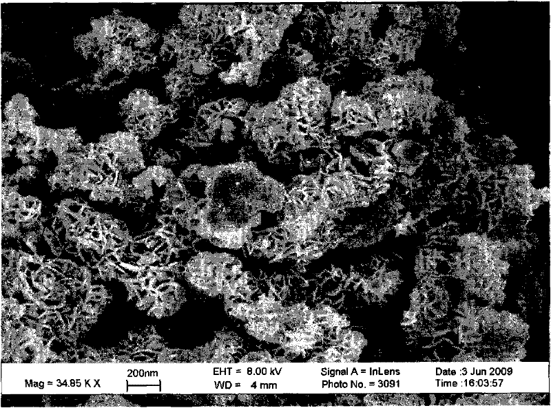 Method for preparing lobate ferroferric oxide aerogel particle