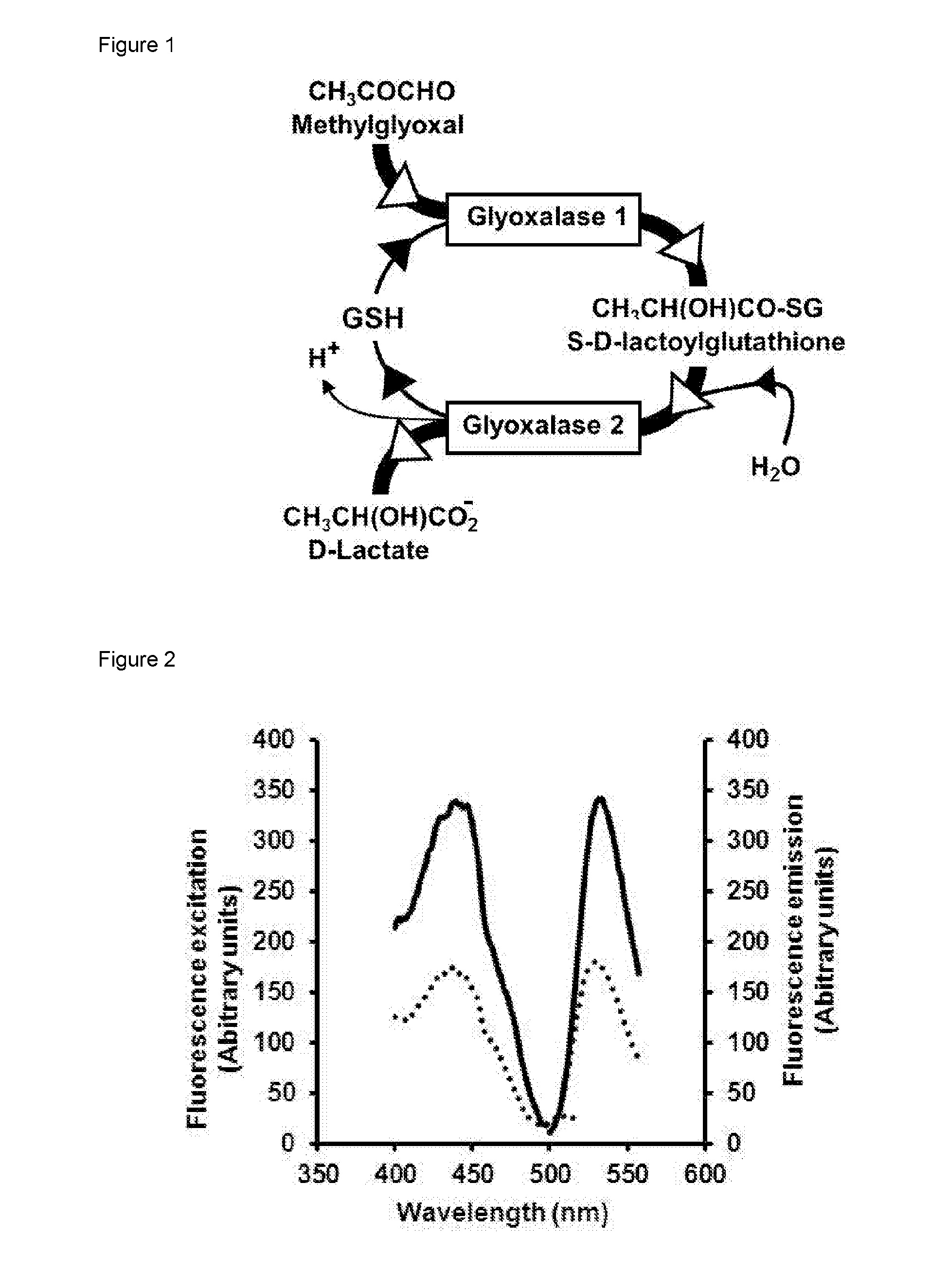 Detection of alpha, beta-dicarbonyl compounds with fluorogenic probes