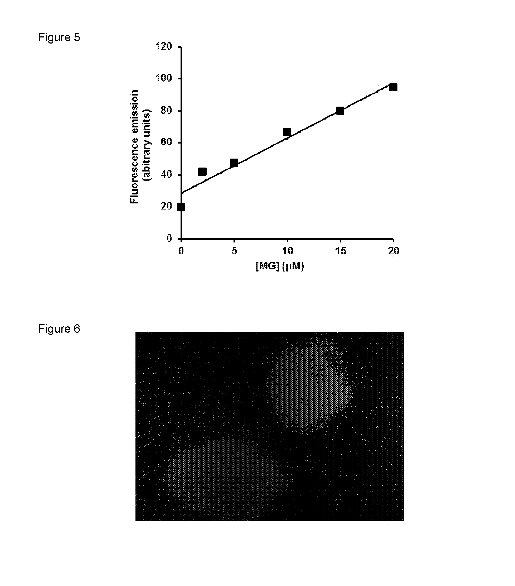 Detection of alpha, beta-dicarbonyl compounds with fluorogenic probes