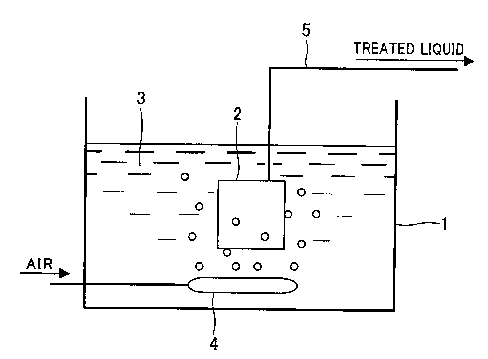 Hydrophilizing agent for hydrophobic porous membrane, and method for hydrophilizing hydrophobic porous membrane and test method using this agent