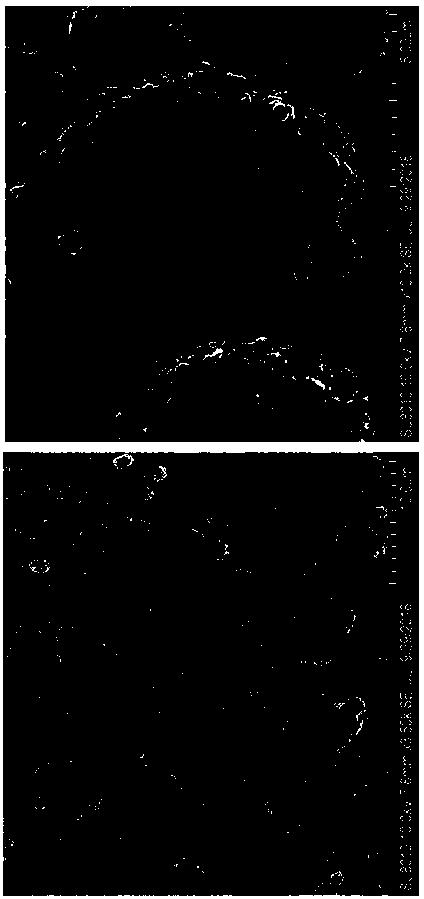 Method for uniformly mixing lithium titanate slurry containing carbon nanotubes