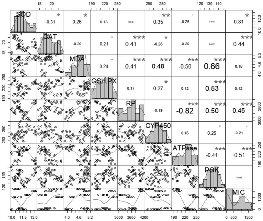 Method for detecting and evaluating environmental risk of sulfamethoxazole by using paramecium biomarker and IBR