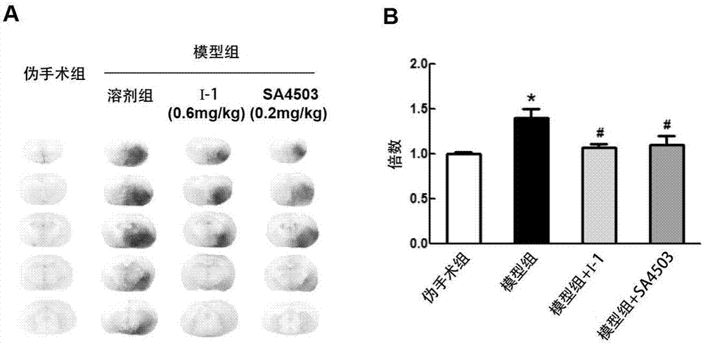 1-benzhydryl-4-methyl piperazine type compound, and preparation method and application thereof