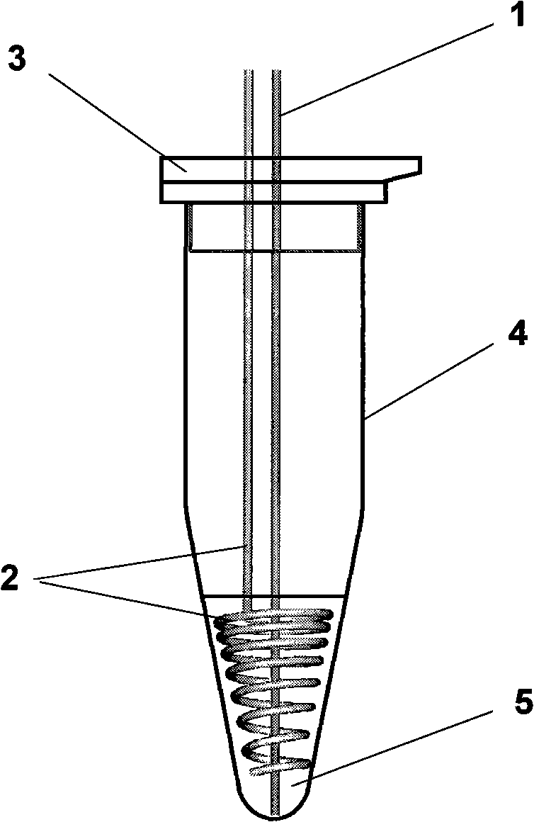 Alternate current-aided efficient protein enzymolysis method