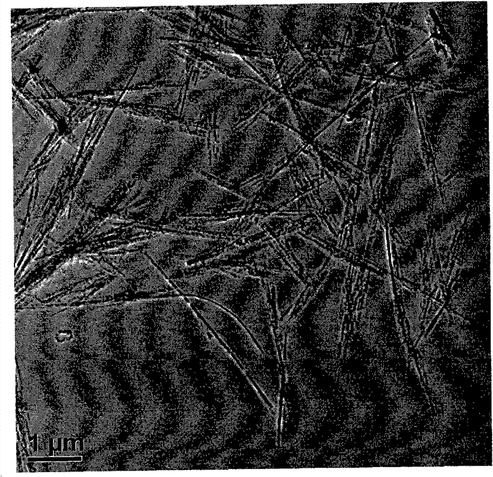 Preparation method of rutile phase vanadium dioxide nanowire and application