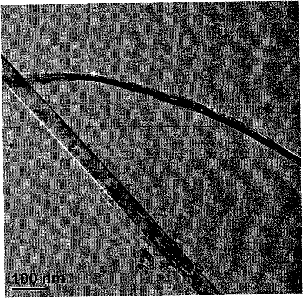 Preparation method of rutile phase vanadium dioxide nanowire and application